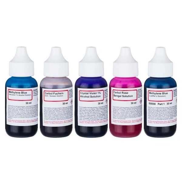 Bacteria Stain Kit of Five Chemicals for Preparing Microscope Slides, Amscope, Mfr#: SK-5